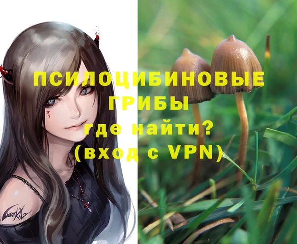 марихуана Гусиноозёрск