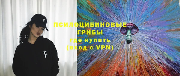 прущая мука Гусев