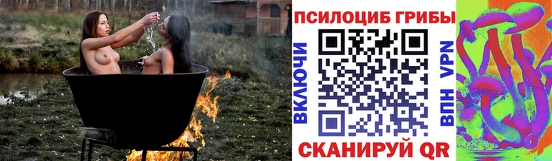Галлюциногенные грибы Cubensis  Обоянь 